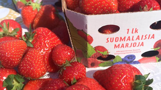 Telinekataja Stora Enso Oulu